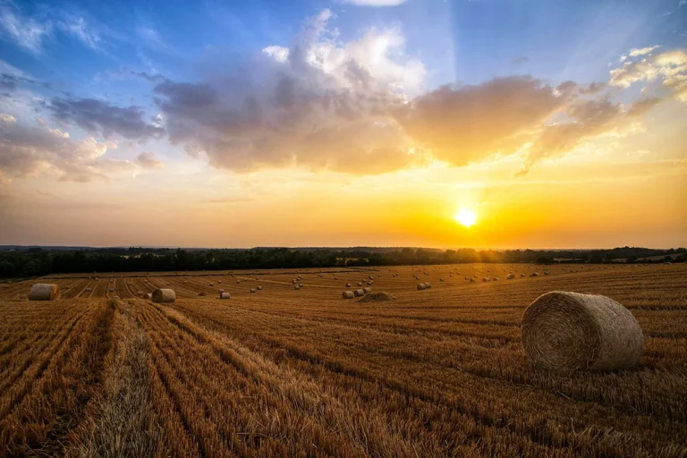 Field with hay near Đakovo, Croatia.