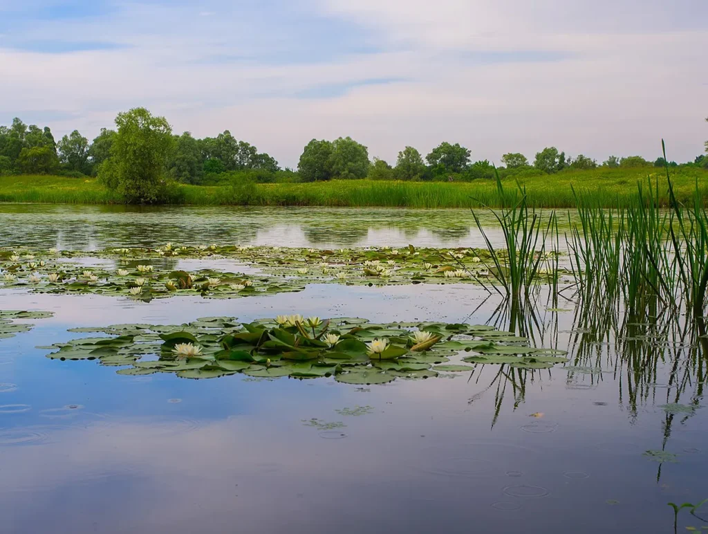 Lonjsko Polje Nature Park