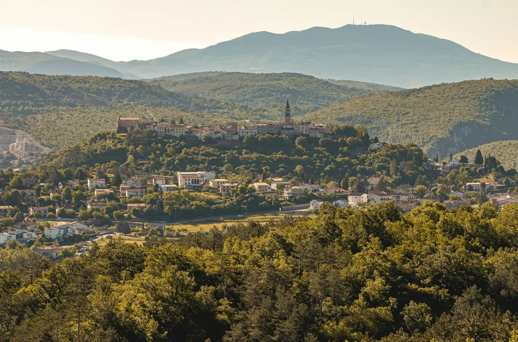 Culinary Tours in Istria, Savor the Flavors