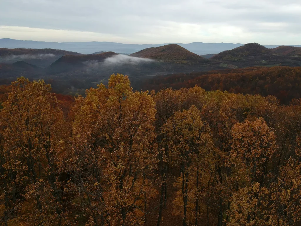 Autumn on the Požega Mountain, Slavonia, Croatia.