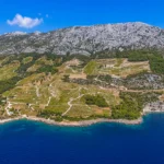 Dingac Wine Festival: The Ultimate Guide to Croatia’s Legendary Wine Event