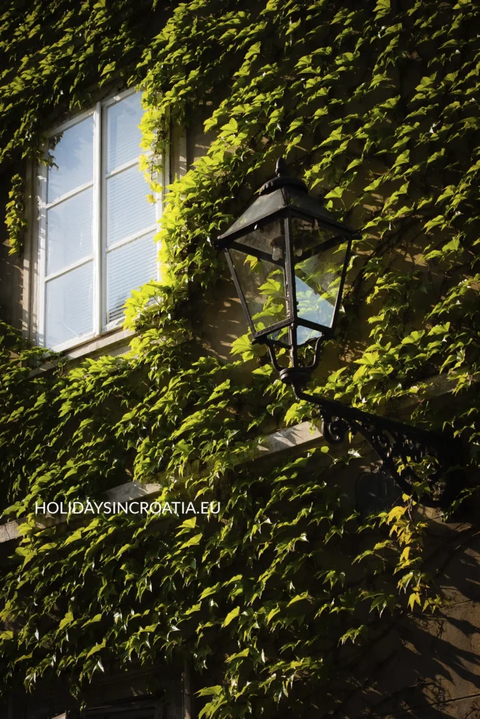 Holidays in Croatia - Best Way to Get Around Zagreb